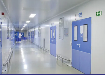 Clean Room Door