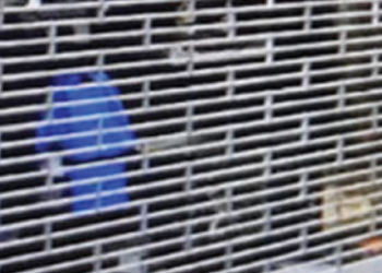 Grill Shutter(GI/Aluminium)